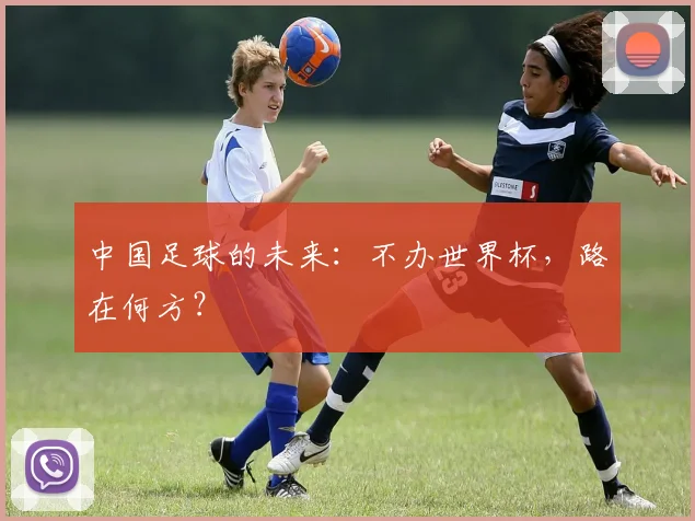 中国足球的未来:不办世界杯,路在何方?