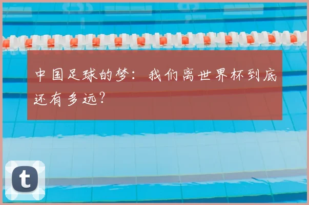 中国足球的梦:我们离世界杯到底还有多远?