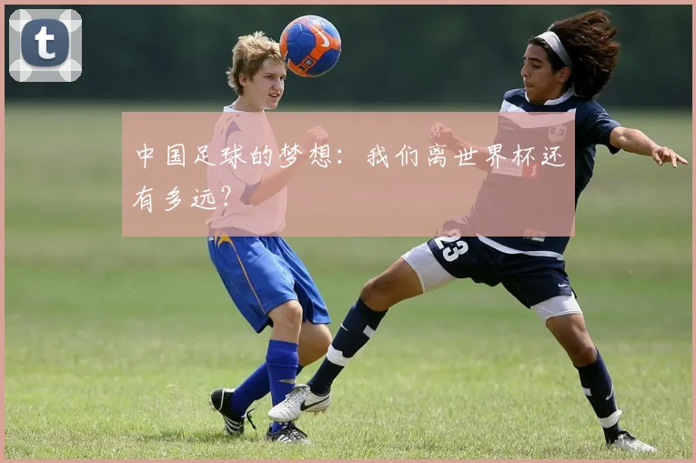 中国足球的梦想:我们离世界杯还有多远?