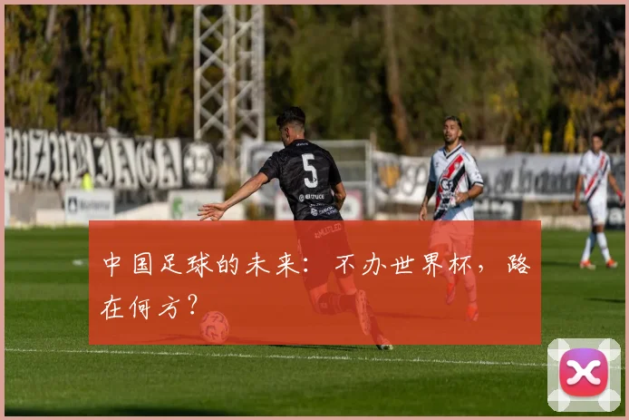 中国足球的未来:不办世界杯,路在何方?
